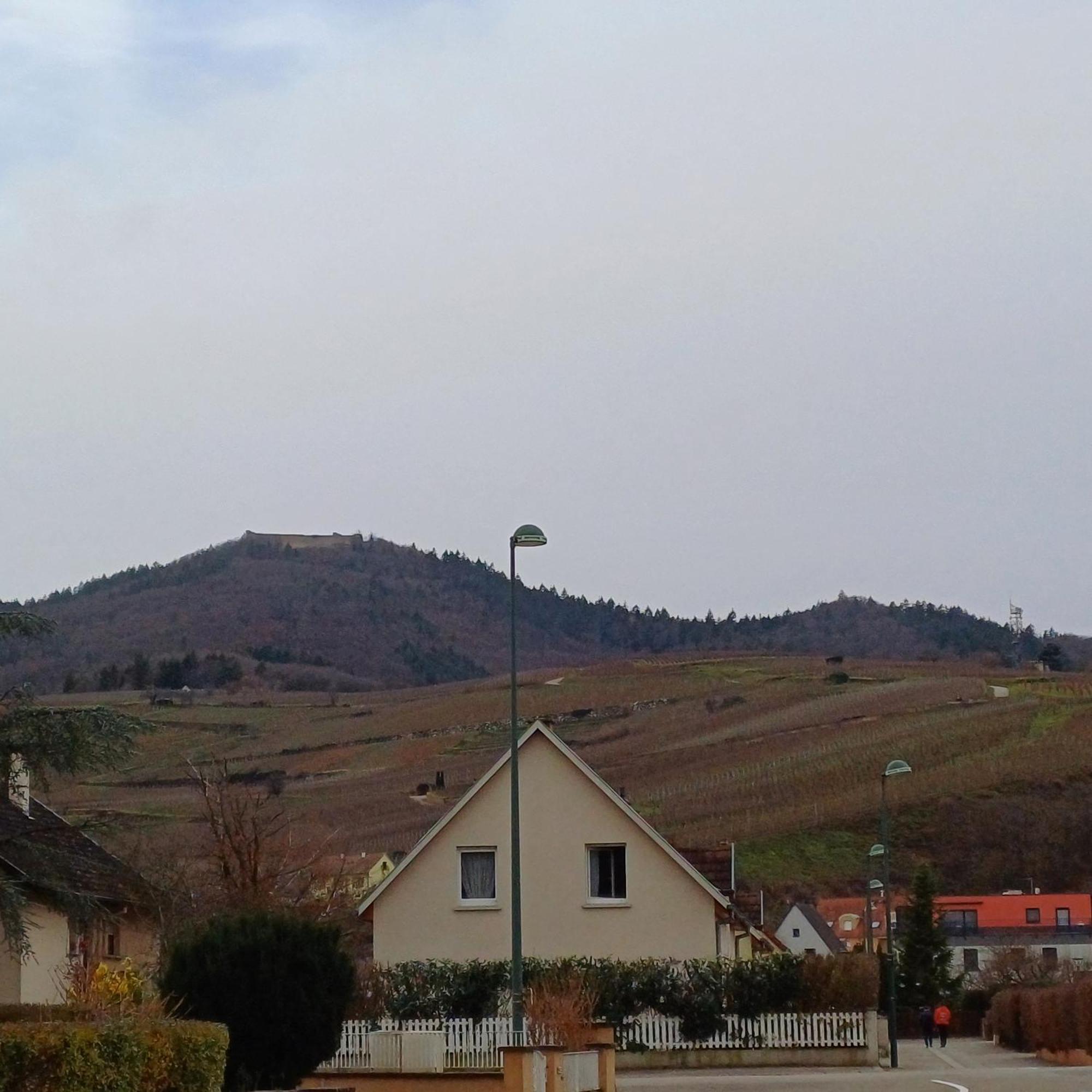 Les Vignobles D'Alsace Hotel Wintzenheim Exterior photo